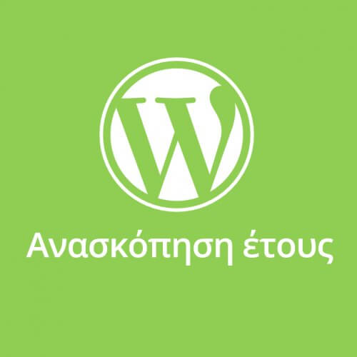 anaskopisi-etous-wordpress web design